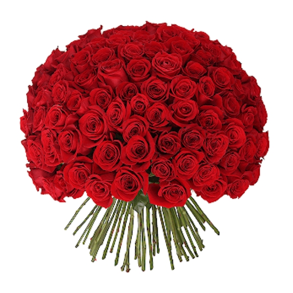 100 Red Roses – buy online or call 01202 762940